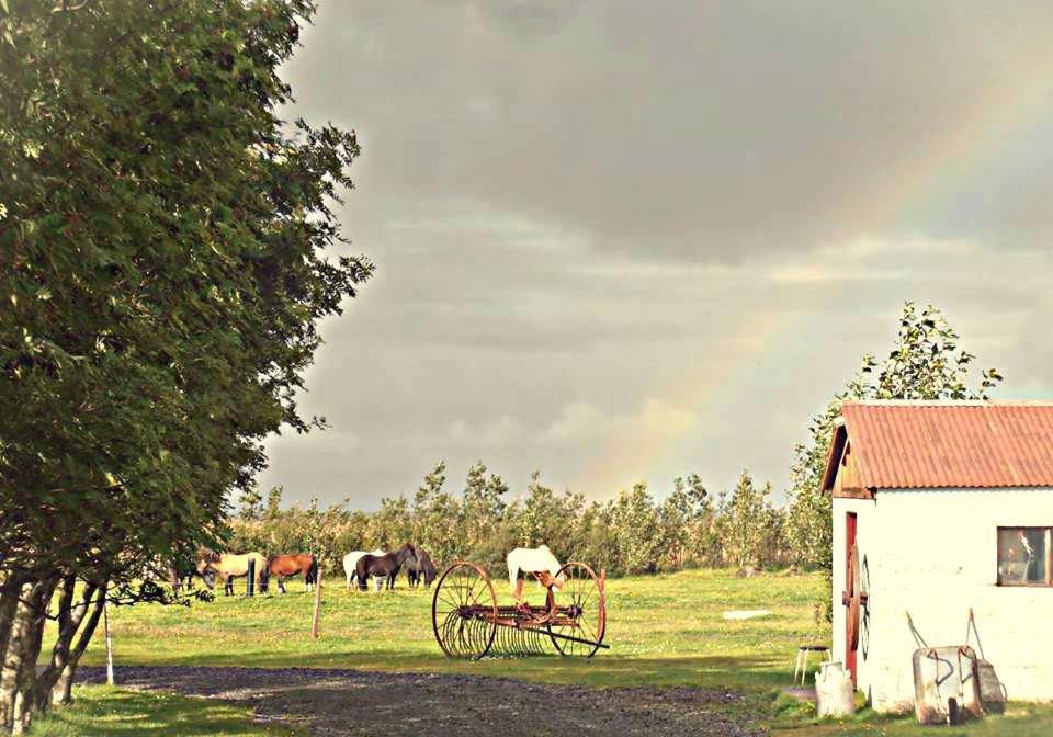 Rauthuskrithur Farm Holmabaeir Exterior photo